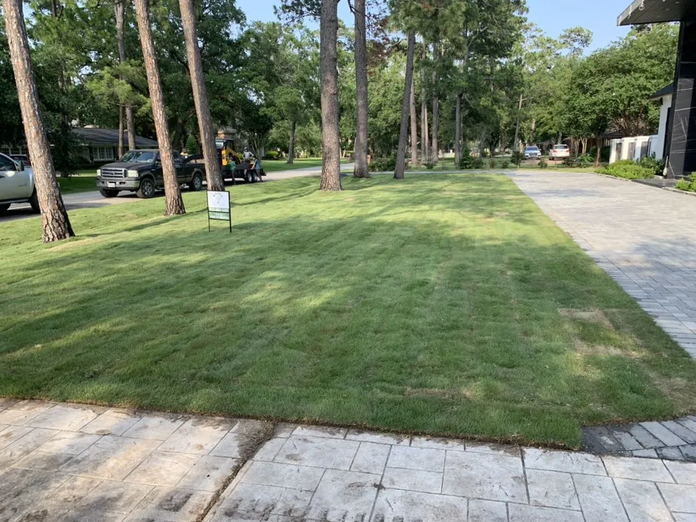 Reliable landscape design in Houston, TX by Razo’s Lawn & Landscaping