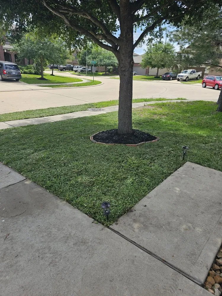 Expert yard maintenance in Houston, TX - Razo’s Lawn & Landscaping