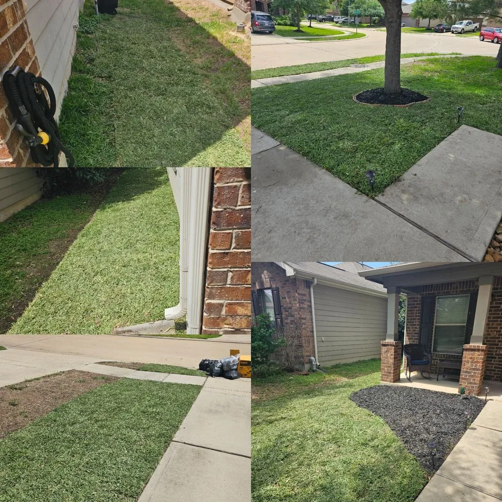 Top-rated lawn mowing service in Houston, TX by Razo’s Lawn & Landscaping