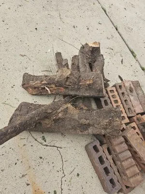 Razo’s Lawn & Landscaping Logo