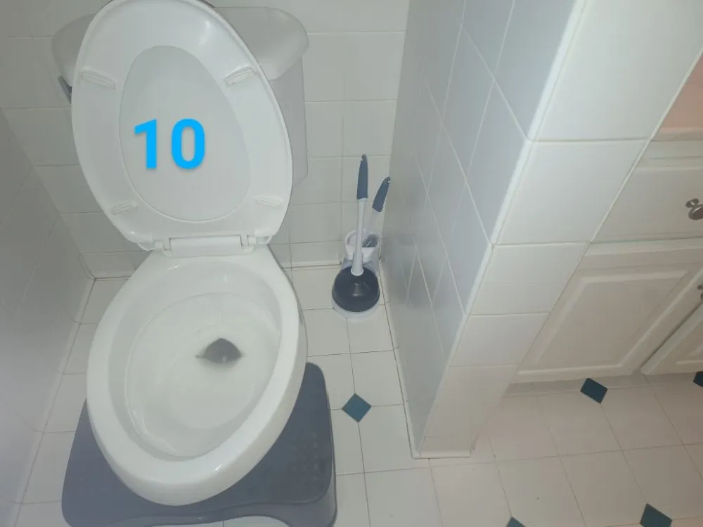 Reliable landscape installation near you across Marianna, FL - Razzle Dazzle Housekeeping