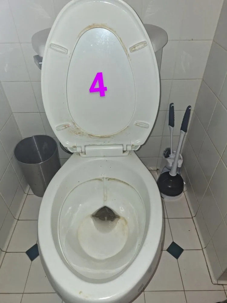 Reliable lawn mowing service in Marianna, FL by Razzle Dazzle Housekeeping