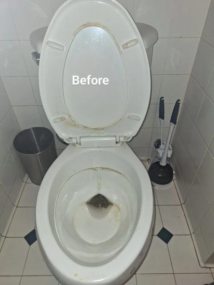 Trusted yard cleanup service for homes in Marianna, FL by Razzle Dazzle Housekeeping