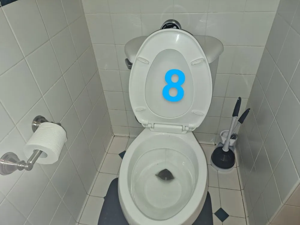 Expert yard cleanup service experts serving Marianna, FL - Razzle Dazzle Housekeeping