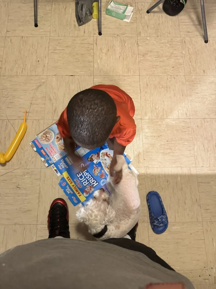 Top-rated lawn care service experts serving Birmingham, AL - R&B 1 In All