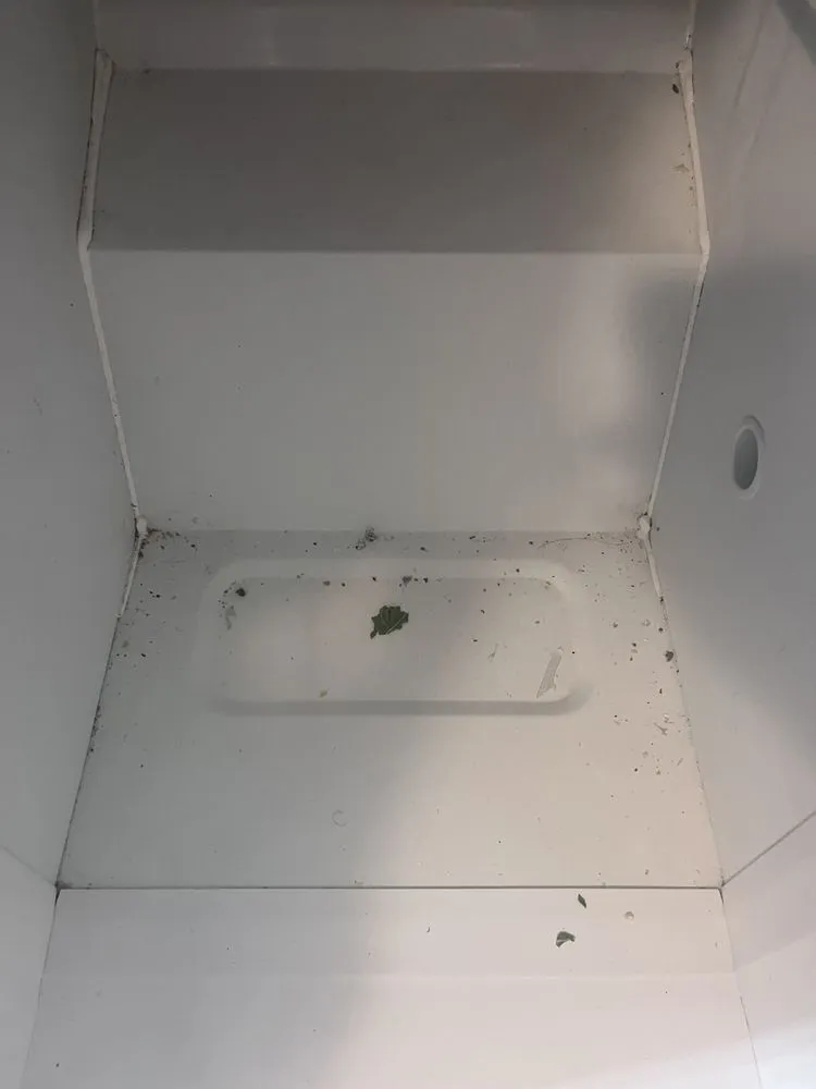 Reliable yard maintenance in Midwest City, OK by RB Detail Solutions