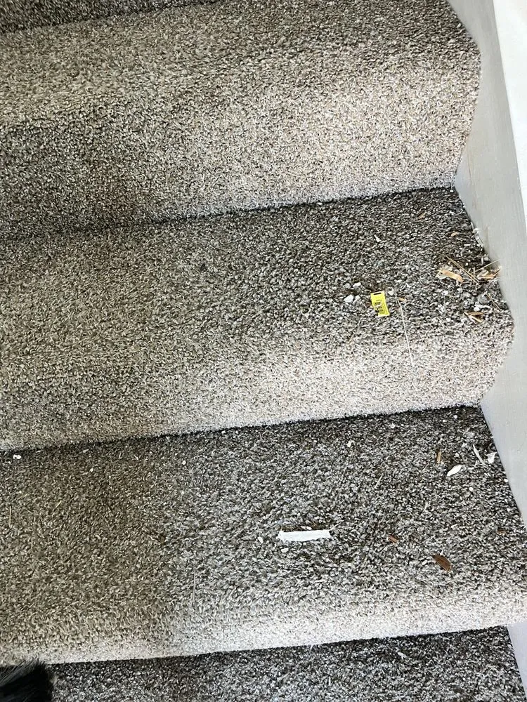 Top-rated landscape installation near you in Midwest City, OK by RB Detail Solutions