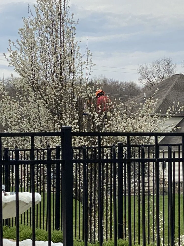 Trusted yard cleanup service in Erie, PA - RB Landscape & Landcare