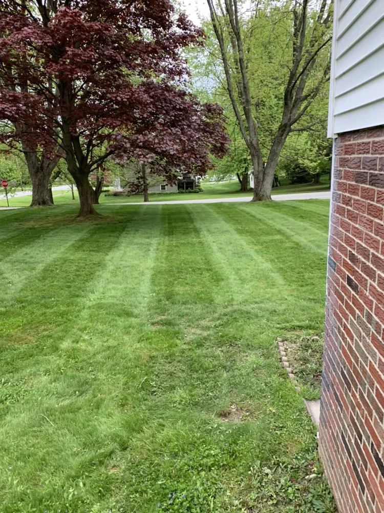 Top-rated landscape installation in Erie, PA - RB Landscape & Landcare