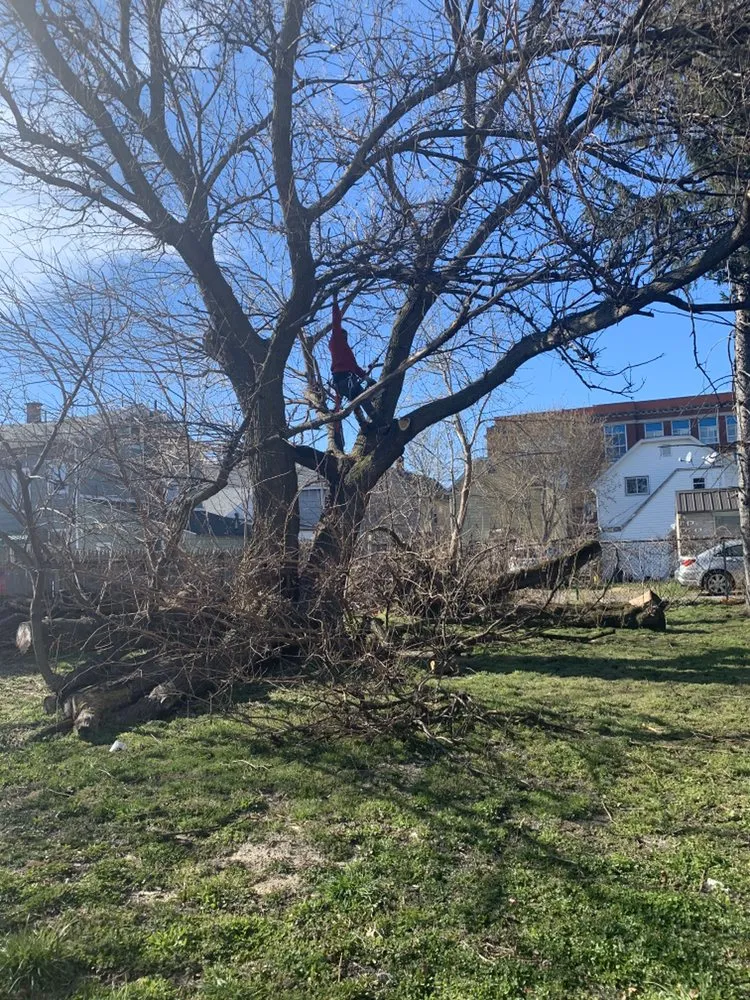 Local landscape installation in Erie, PA - RB Landscape & Landcare