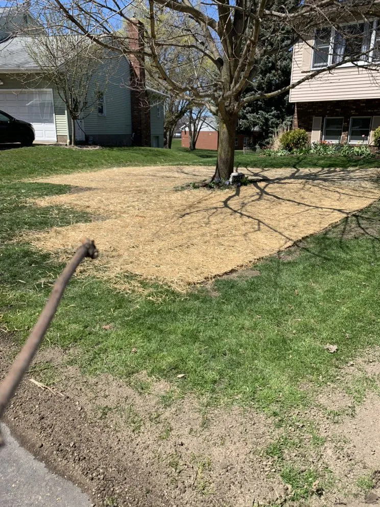 Local lawn care service in Erie, PA - RB Landscape & Landcare