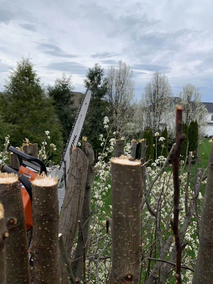 Expert yard maintenance in Erie, PA by RB Landscape & Landcare