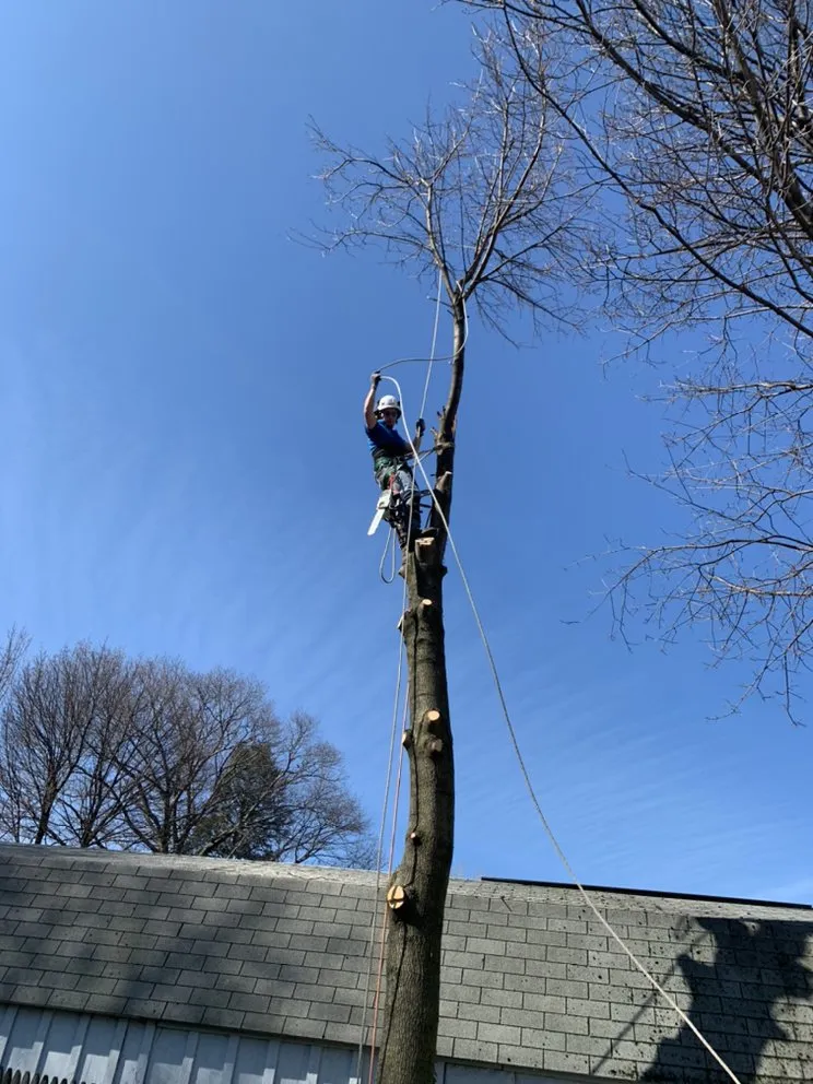 Custom yard cleanup service for outdoor upgrades across Erie, PA - RB Landscape & Landcare