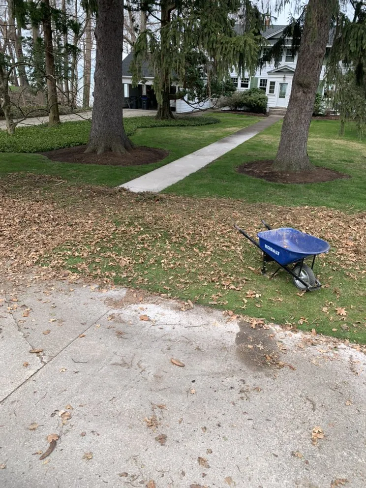 Trusted yard cleanup service in Erie, PA - RB Landscape & Landcare
