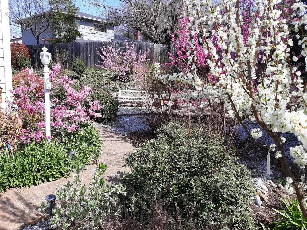 Top-rated residential landscaping for homes across Placerville, CA - RB Landscape Maintenance