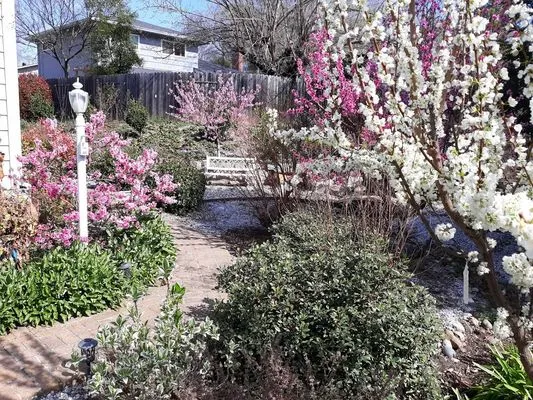 RB Landscape Maintenance Logo