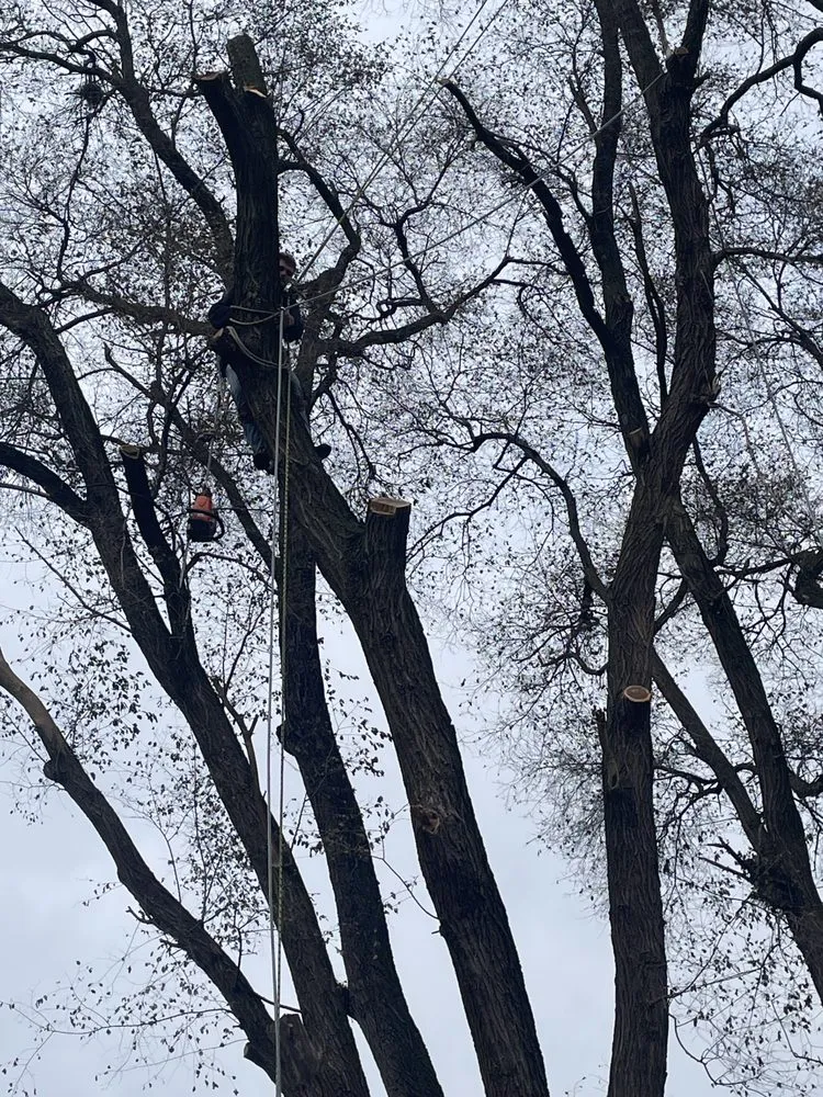 Expert residential landscaping in Southgate, MI by R&B Landscaping and Snow Removal