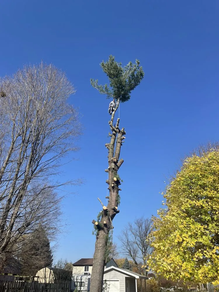 Local residential landscaping for residential properties across Southgate, MI - R&B Landscaping and Snow Removal