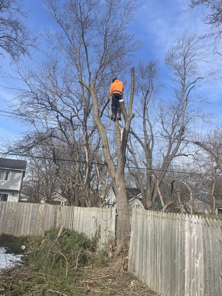 Custom lawn mowing service with custom design across Southgate, MI - R&B Landscaping and Snow Removal