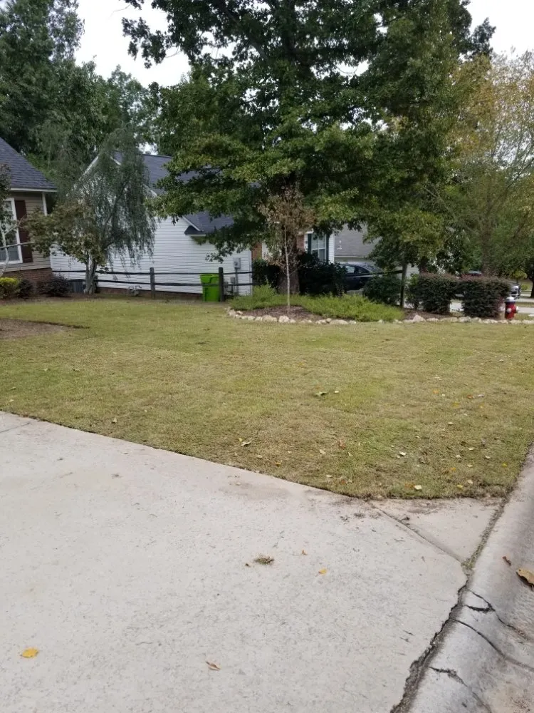 Professional landscape installation in Columbia, SC by RB Landscaping