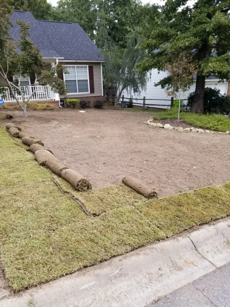 Local yard cleanup service in Columbia, SC by RB Landscaping