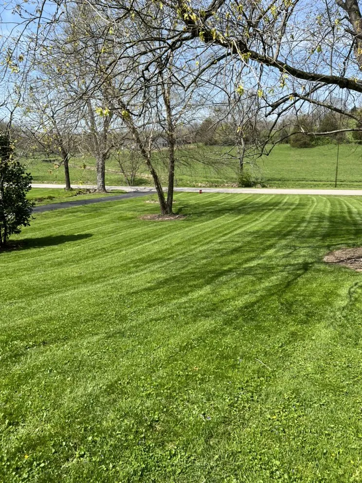 Reliable yard cleanup service in Georgetown, KY - R&B Landscaping