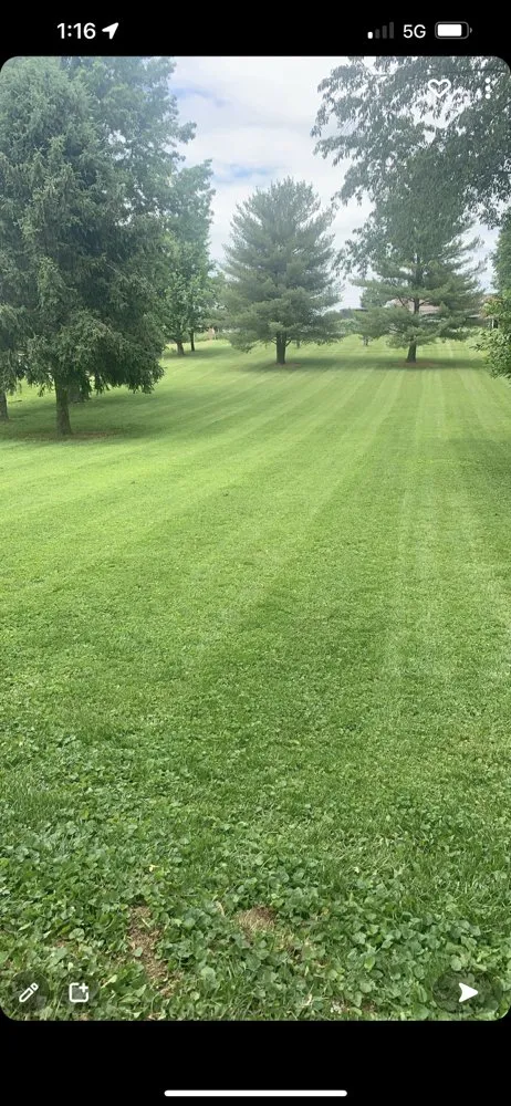 Trusted lawn care service near you in Georgetown, KY by R&B Landscaping