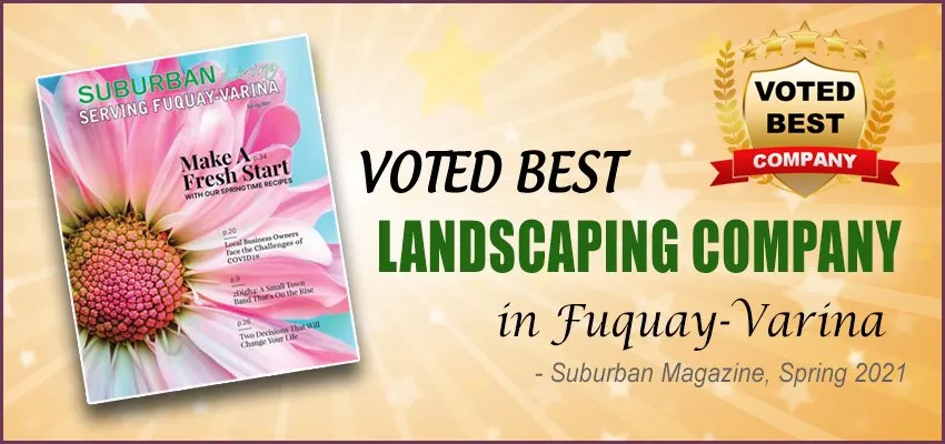 Expert yard maintenance in Holly Springs, NC - RB Landscaping