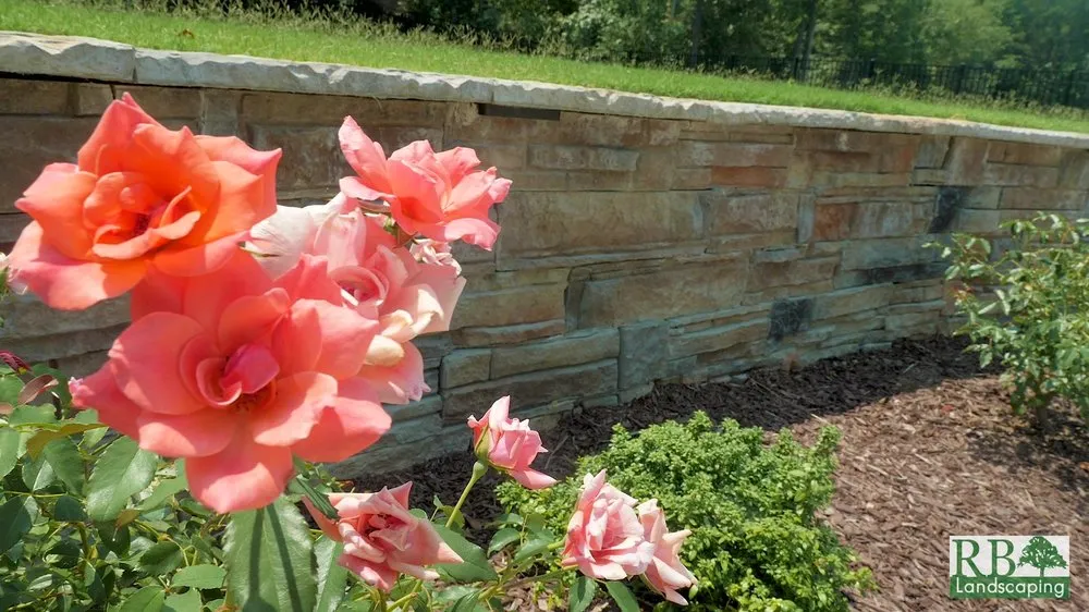 Affordable landscaping services experts serving Holly Springs, NC - RB Landscaping