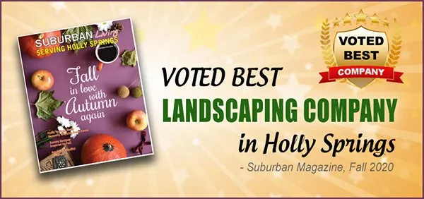 Professional landscape installation for year-round maintenance across Holly Springs, NC - RB Landscaping