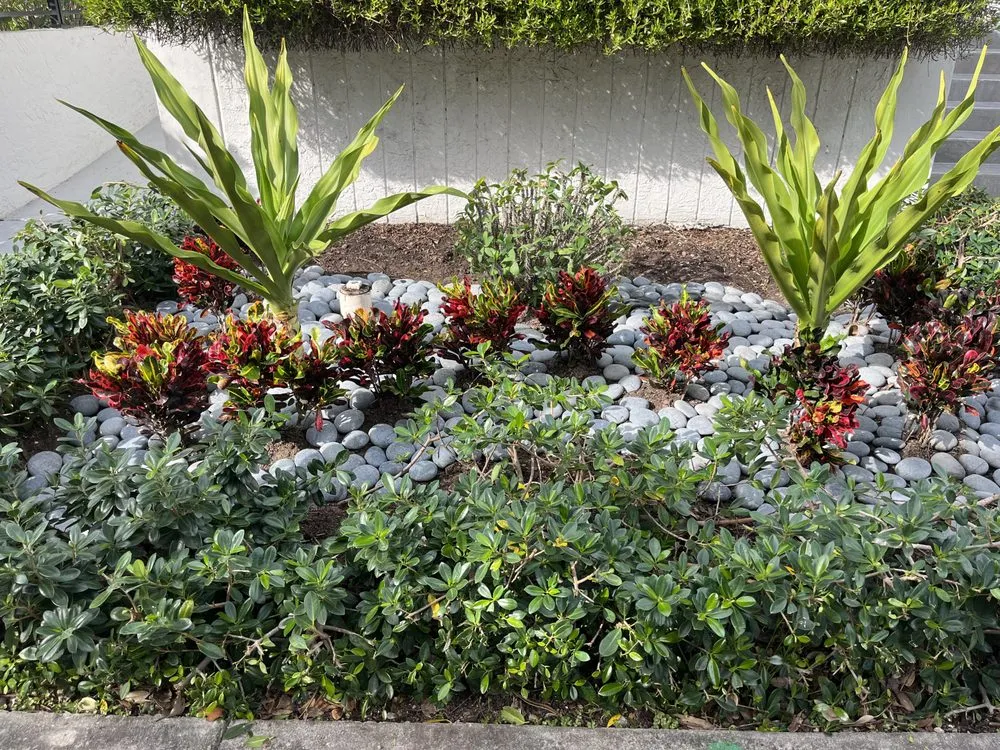 Top-rated yard cleanup service near you in Miami, FL by RB Landscaping