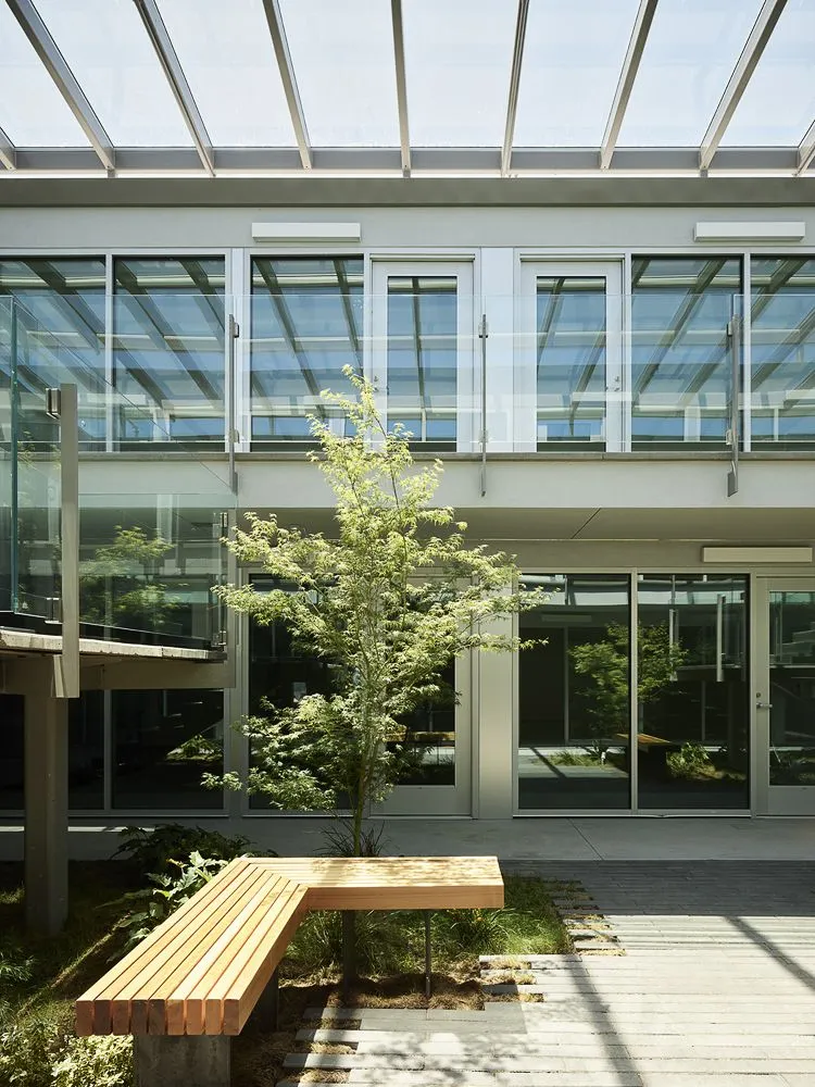 Top-rated lawn care service in Redwood City, CA by RB landscaping