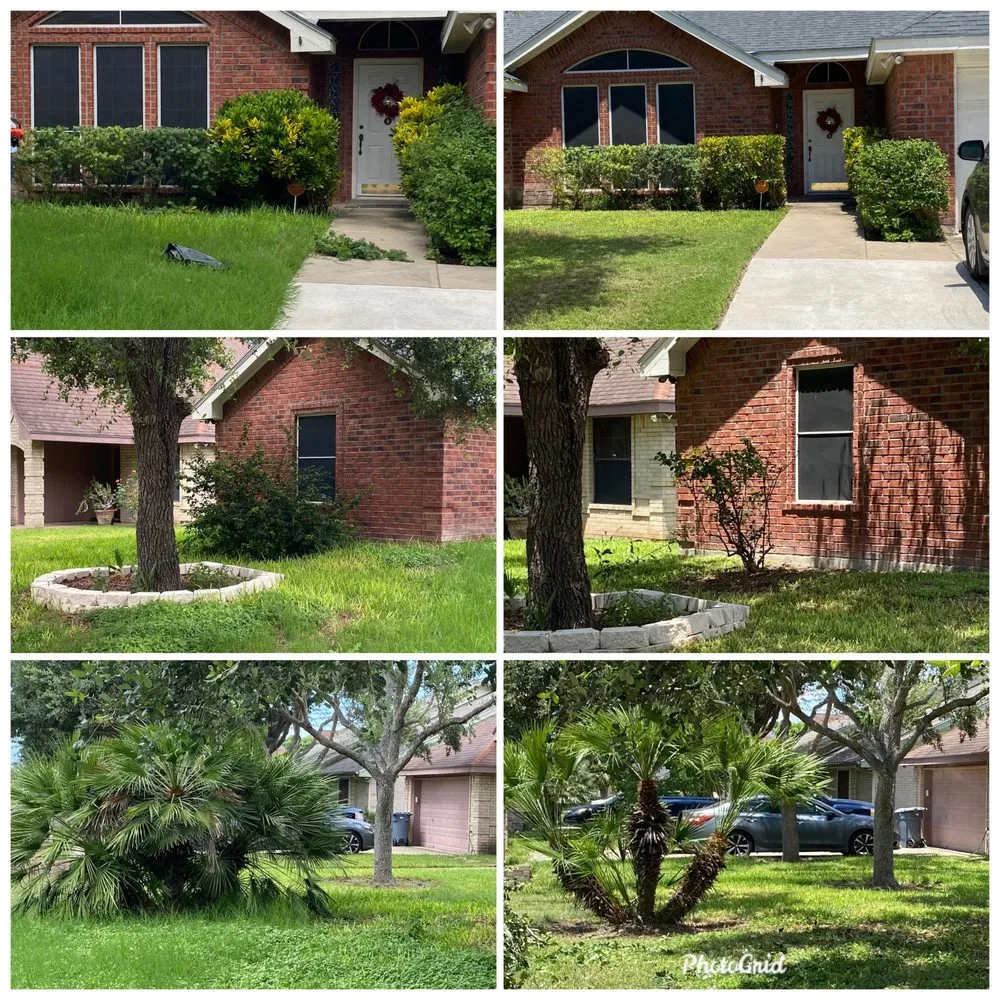 Affordable yard cleanup service in San Juan, TX - R&B Landscaping