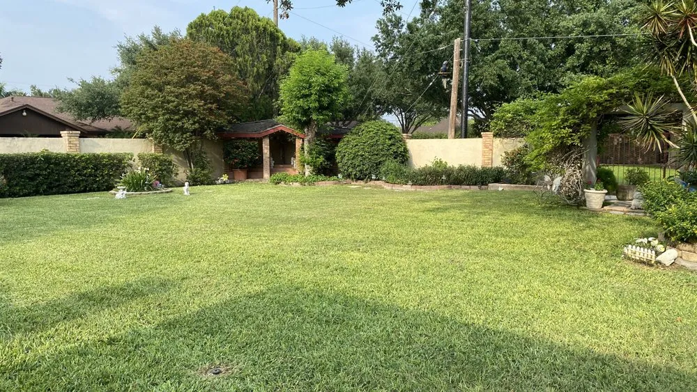 Expert yard maintenance near you in San Juan, TX by R&B Landscaping