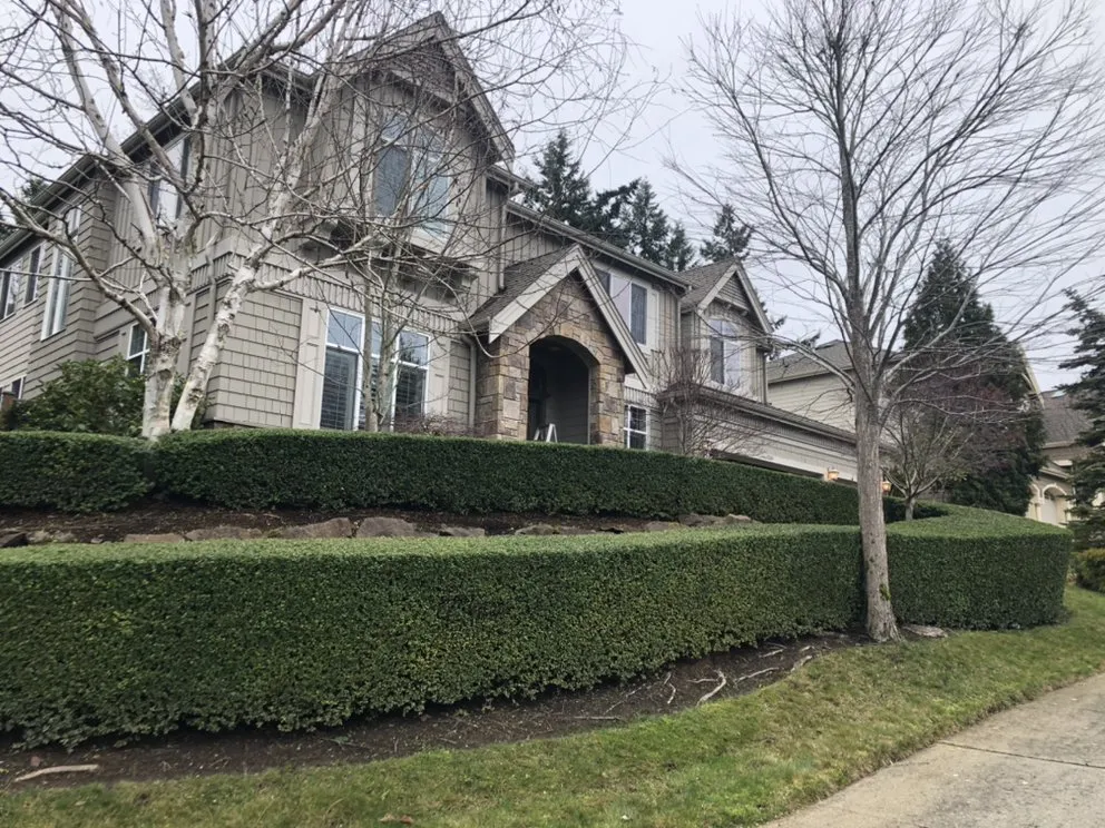 Professional yard cleanup service near you across Renton, WA - RB Landscaping Service