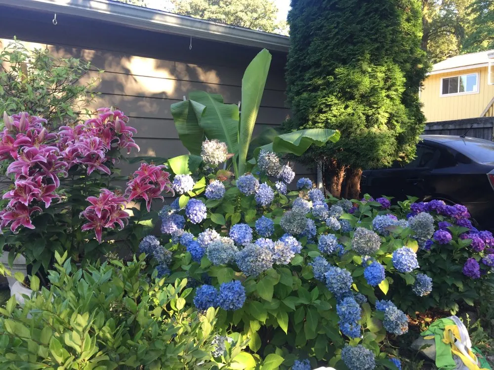 Local landscape design experts serving Renton, WA - RB Landscaping Service