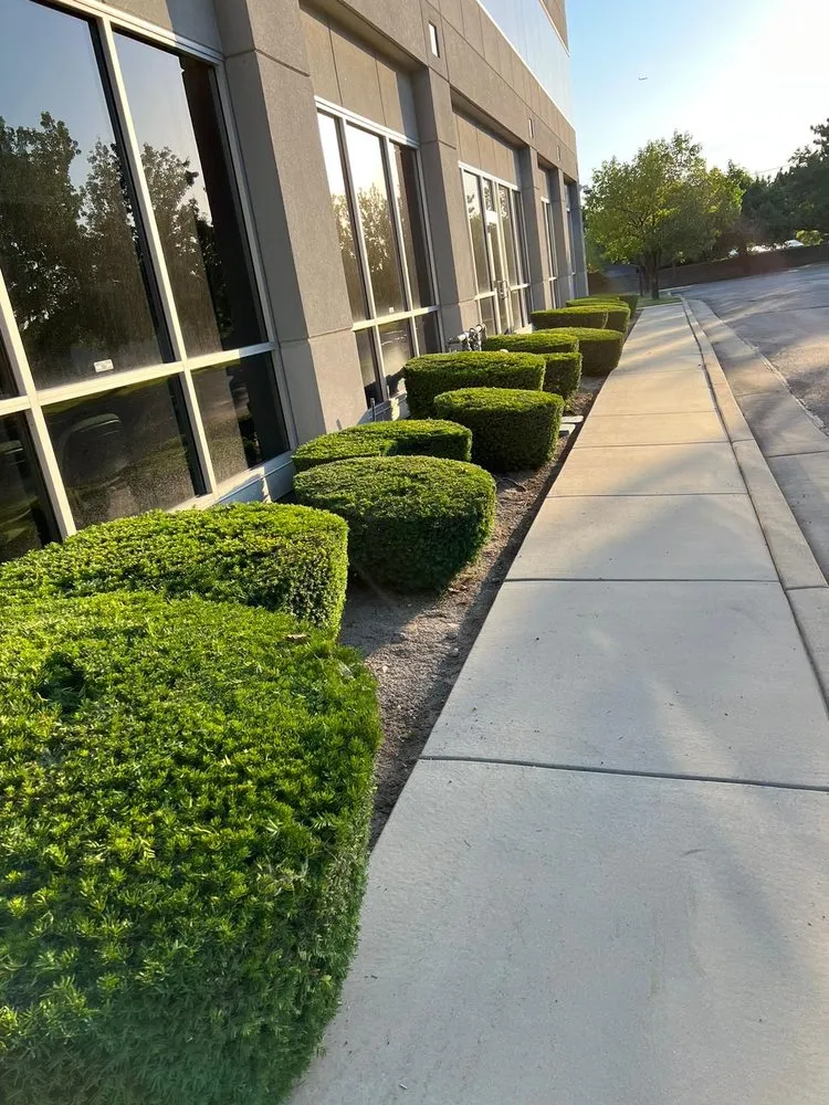 Professional residential landscaping in West Valley City, UT by R&B Landscaping