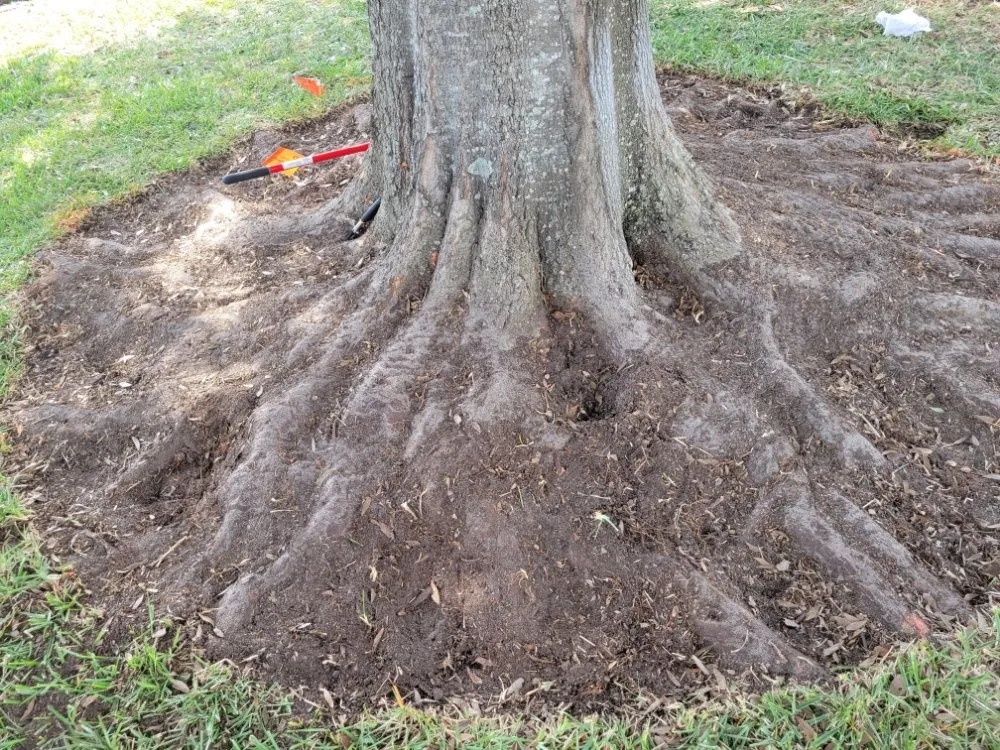 Professional landscape design experts serving Fruitland Park, FL - R&B Lawn and Home Care