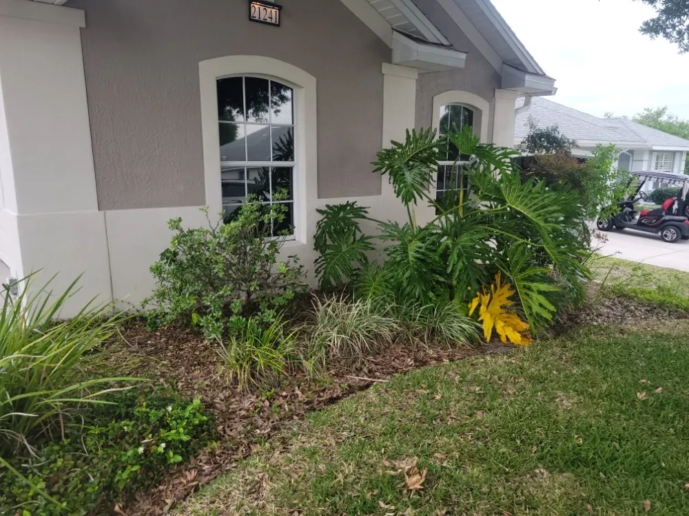 Professional yard cleanup service in Fruitland Park, FL by R&B Lawn and Home Care