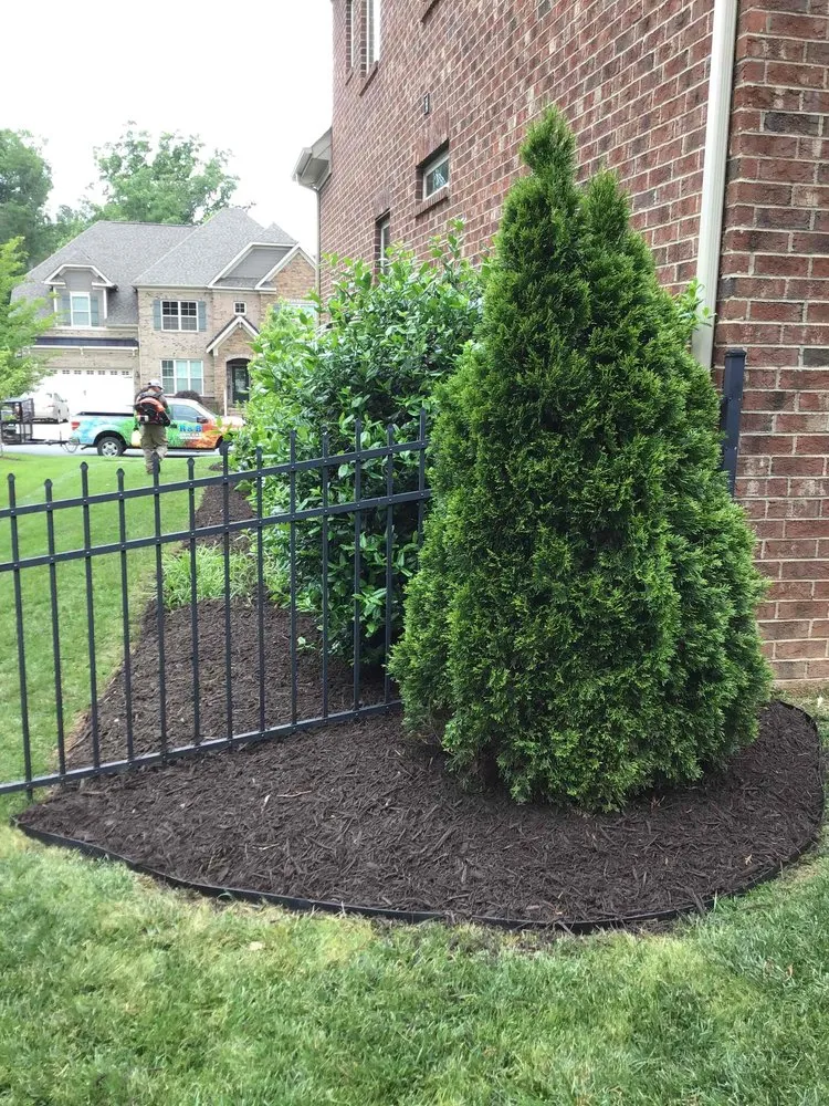 Reliable landscaping services for outdoor upgrades in Fort Mill, SC by R&B Lawn Care