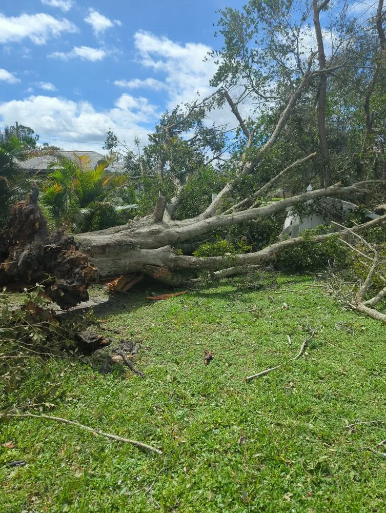 Trusted garden landscaping experts serving Lake Placid, FL - RB LAWN SERVICE