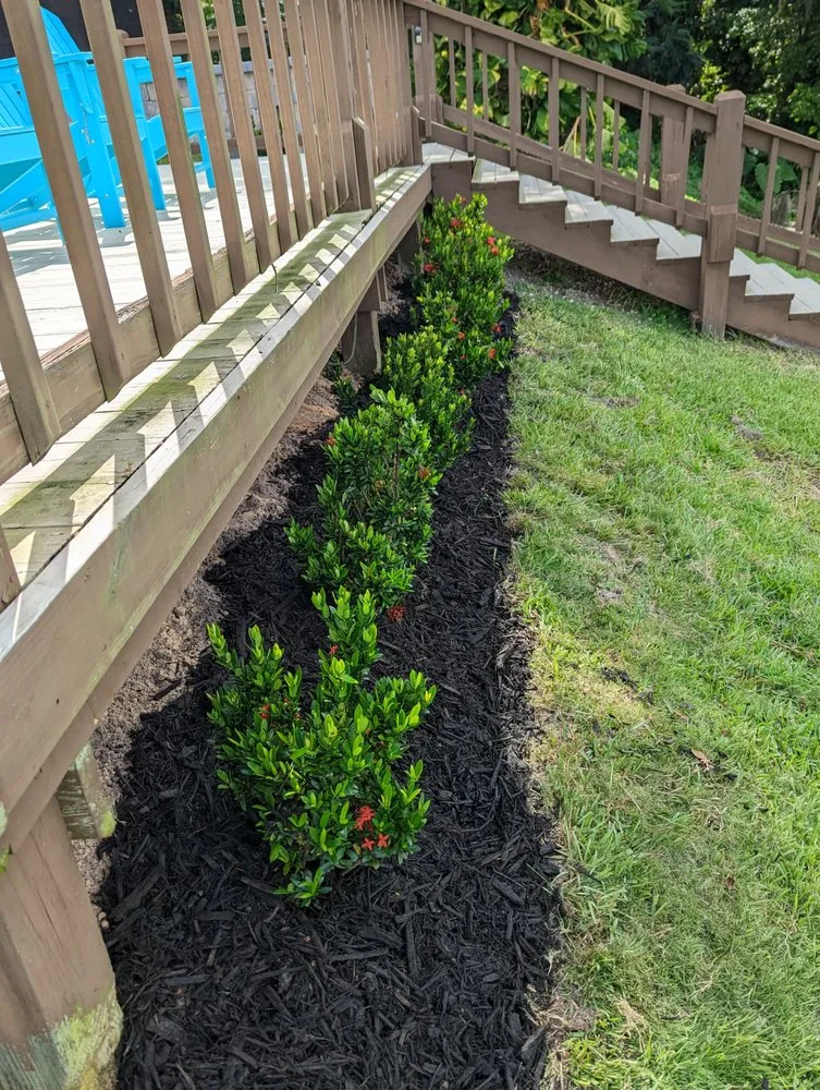 Local landscape design in Lake Placid, FL by RB LAWN SERVICE