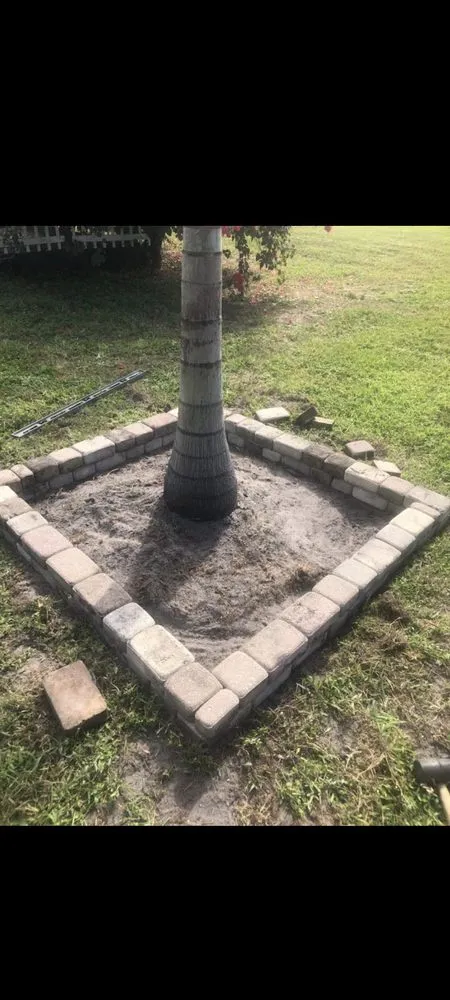 Professional yard cleanup service in Lake Placid, FL by RB LAWN SERVICE