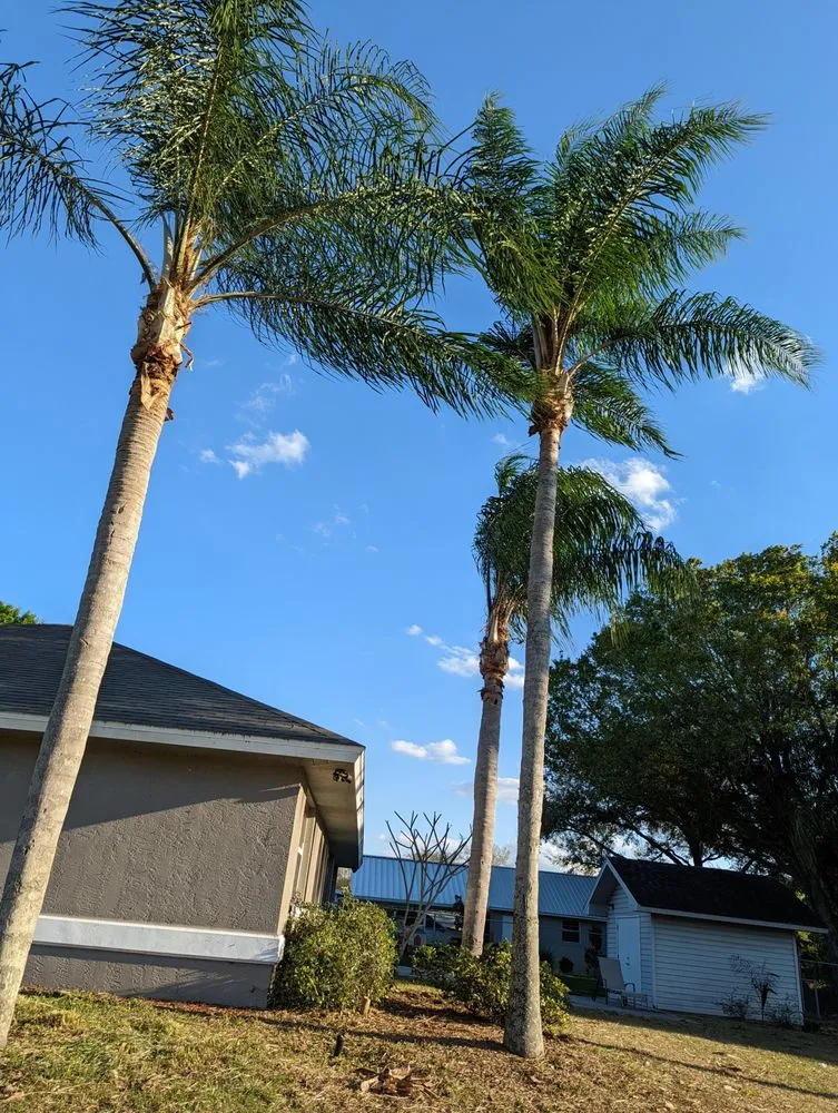 Professional landscape design in Lake Placid, FL - RB LAWN SERVICE