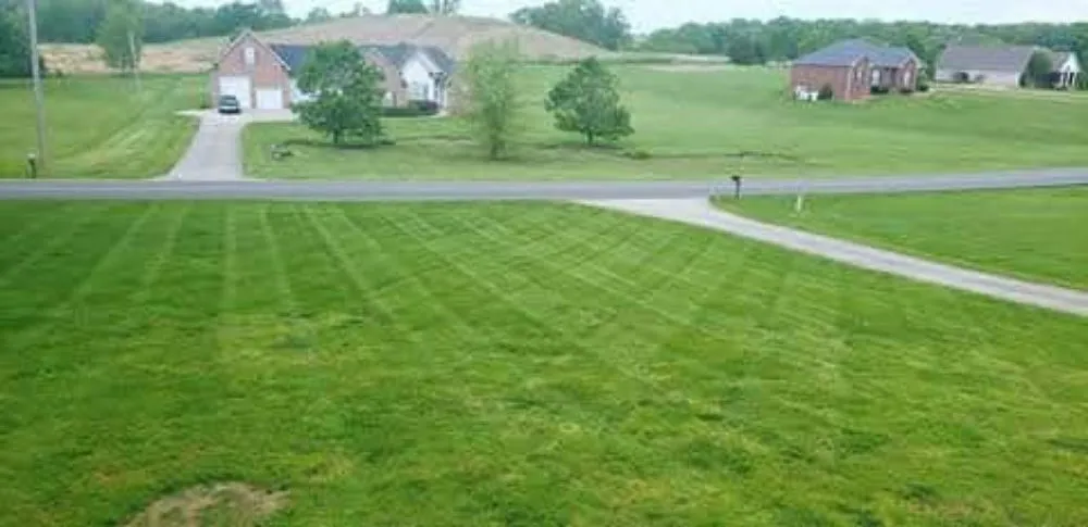 Professional yard cleanup service near you in Spring Hill, TN by RB Lawncare And Landscaping