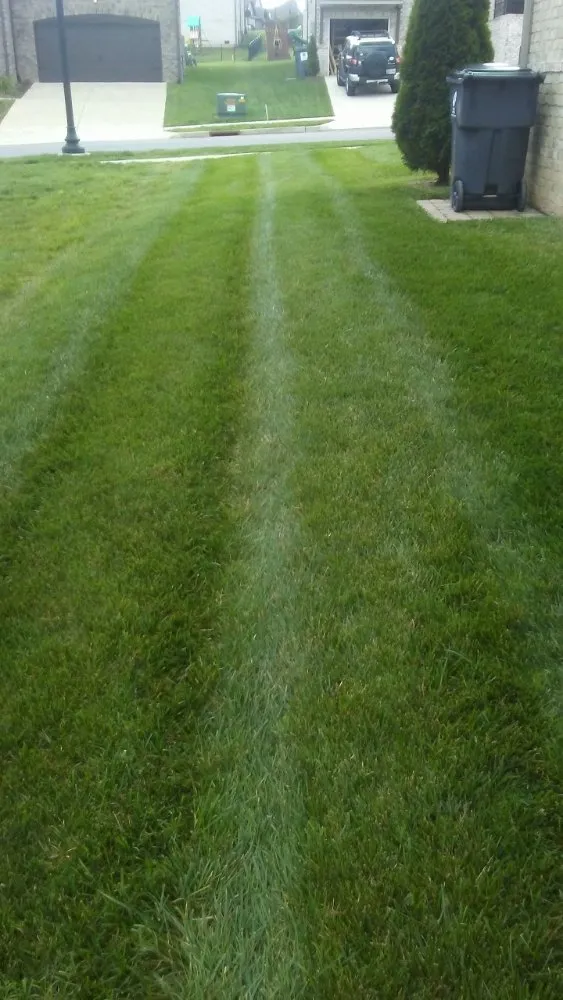 Professional yard maintenance for beautiful yards across Spring Hill, TN - RB Lawncare And Landscaping