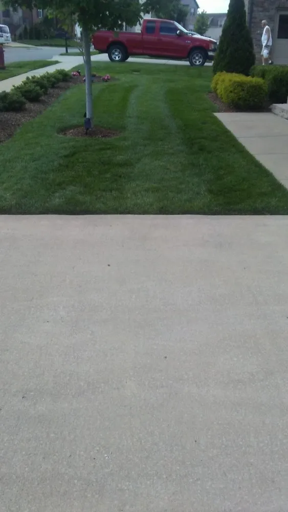 Professional yard cleanup service for residential properties in Spring Hill, TN by RB Lawncare And Landscaping