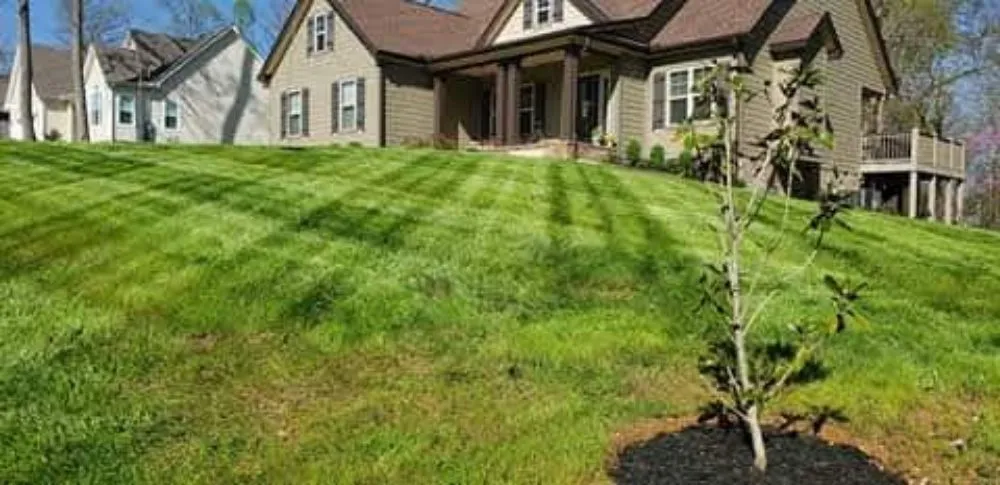Professional yard maintenance for outdoor upgrades across Spring Hill, TN - RB Lawncare And Landscaping