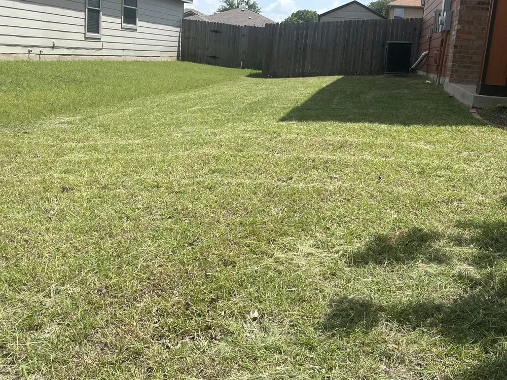 Affordable lawn care service for beautiful yards across Killeen, TX - RB Mowing