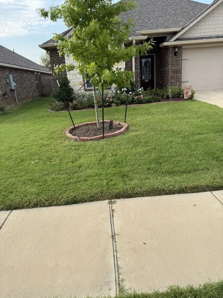 Local lawn care service in Cleburne, TX by R&B Services